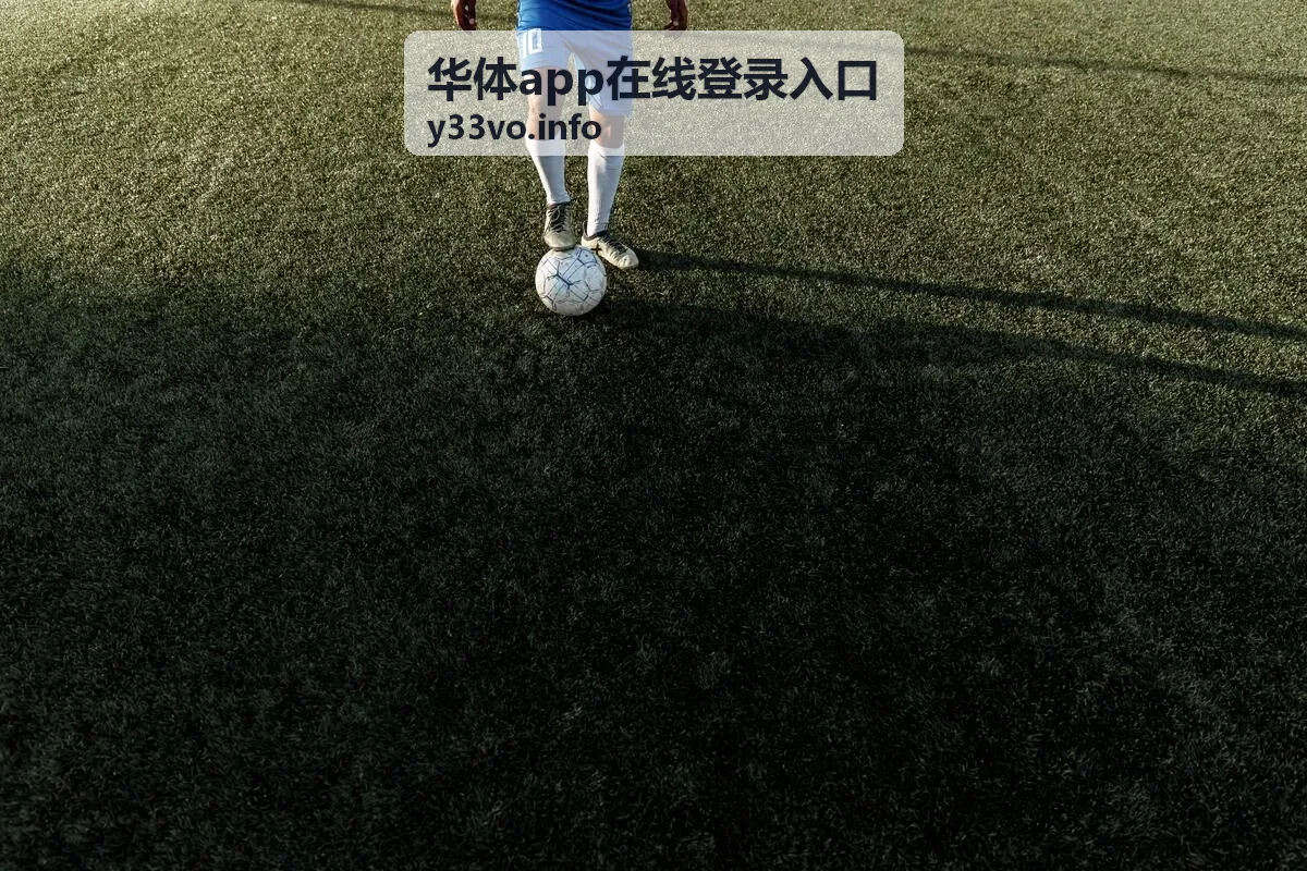华体app在线登录入口会员权益升级公告